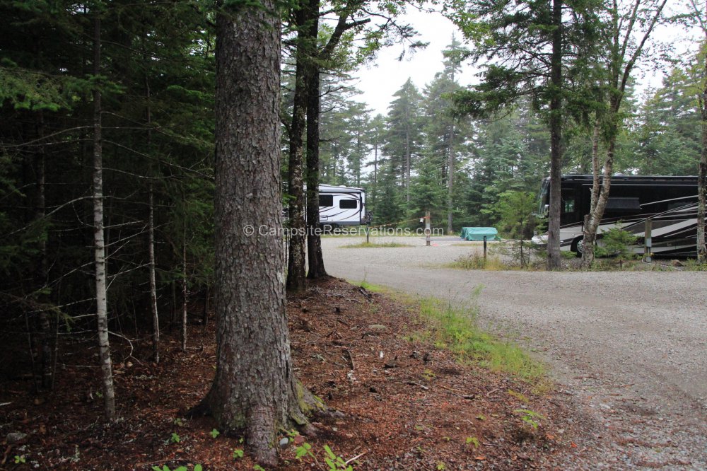 Fundy National Park, New Brunswick, Canada